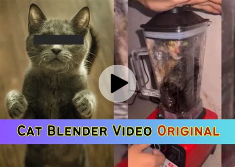 cat blender twitter